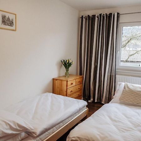 Sojka apartmány Jeseníky Sobotín Kültér fotó