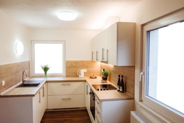 Sojka apartmány Jeseníky Sobotín Kültér fotó