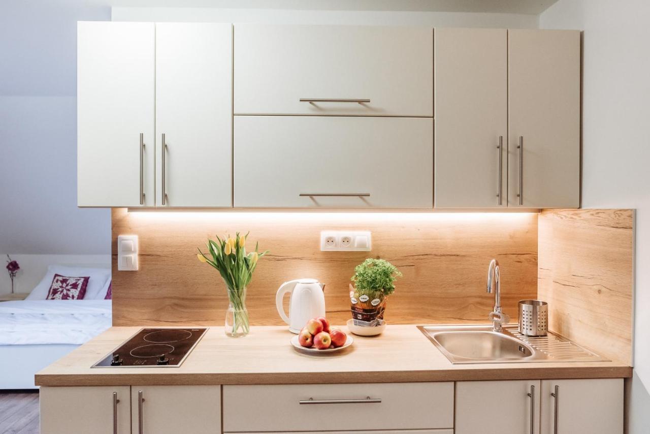 Sojka apartmány Jeseníky Sobotín Kültér fotó